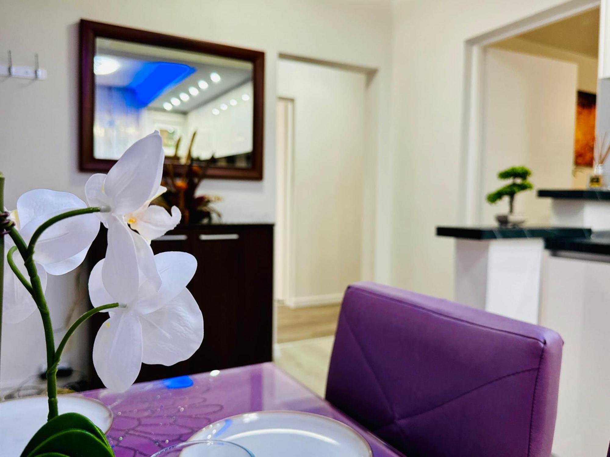 Joy City Stay Spacious Comfortable Timisoara Esterno foto